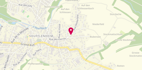 Plan de Auto-école Wilhelm, 2 Rue Niederfeld, 67620 Soufflenheim