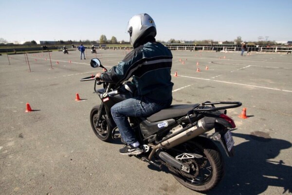 Zebra moto école